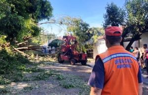 Prefeitura de Matão trabalha pela recuperação dos estragos causados por forte chuva com vendaval
