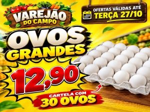 Ofertas do Varejão do Campo válidas até (27/10/2026)