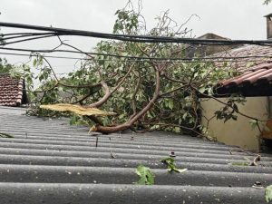 Temporal com ventania causa estragos em vários pontos de Matão