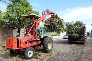 Cronograma semanal de coleta de galhos em Matão/SP