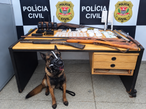 Operação ‘Dominó’ apreende cinco armas e drogas em Nova Europa; um homem foi preso