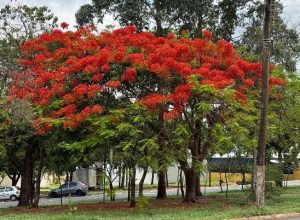 06a84393-4084-4400-b6ad-1b29bf9d7a98