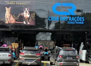 199ff69f-0d35-4a29-9a4e-c2b5176e979b