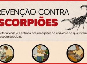 264654da-3301-45f9-983e-fd8e45e8558f-1