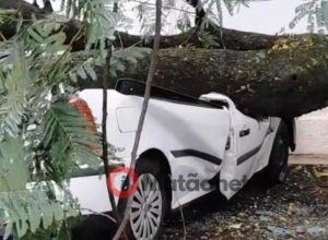 34a167ca-e108-4059-bf9b-895b5539cf73