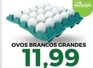 565697311_1426271719504158_1563812971205258851_n