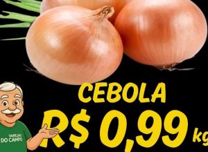 574986189_1439926078138722_5062108762883279655_n-dfgcqa