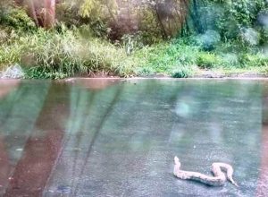 577024784_1447212353851123_8776201933979606078_n