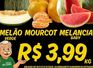 580082068_1446711357460194_6683087773200289266_n-ca