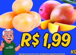 594385715_1469235548541108_8276741727487575397_n-1