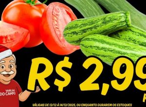 598828998_1475299947934668_1132843972289918083_n-356