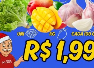 598920178_1479542234177106_7424841723928234891_n-wfg