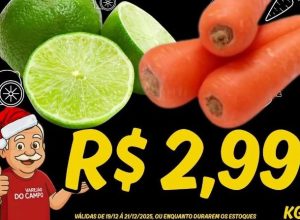 601046884_18031905602769076_7421033393586028219_n-21