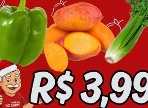 604666769_1485154173615912_2298004825562400062_n-1