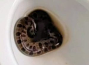 615319265_1187132866922646_6621370790481585108_n.jpg-c