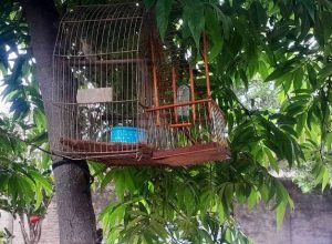 618799284_122122141629048243_6790652171312879193_n.jpg-1