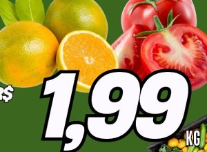 632752227_1532022985595697_6968318882359750361_n.jpg-1