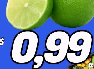 633873277_1536781201786542_2962669171297079158_n.jpg-1