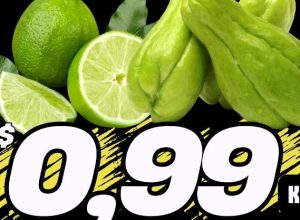 651700756_1563061562491839_4578338734583949780_n.jpg-cv