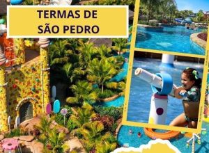 7610d3a3-febc-468e-9093-e39ce33501cb.jfif-capa