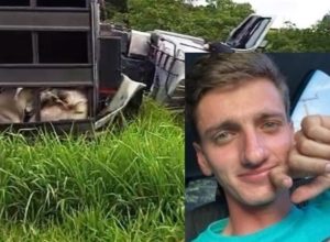 86c8a07b-2cc9-434b-9ee4-54b4d3d24dd5.jpg-capa