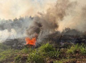 9a7e0c8f-ed48-426e-8433-4b183c74172c