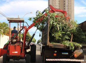 Coleta-de-galhos-1-2