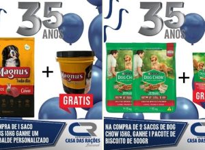 Fundo-Branco-b-capa
