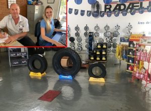 Radaeli-Pnus-1-2-1-1-1-1-1-1-1-1-1-1-1-1-1-1-1-1-1