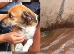 WhatsApp Image 2026-02-05 at 04.37.27.jpeg-c