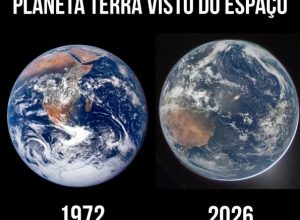 a3601345-98e2-43cf-a050-d2983dae9f2d.jpg-1