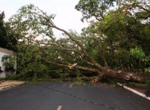 a7e5643d-caa8-44fb-b073-5b730e5ee8ae