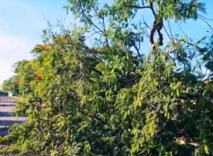 aada4007-af38-42e2-8e02-a21e9577b8f3