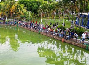 cb5e0b64-910a-425c-9580-f7ba9ecb9c38.jpg-1