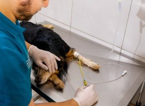 d7a093e0-4cd4-49b1-9c2f-257e711a24d4