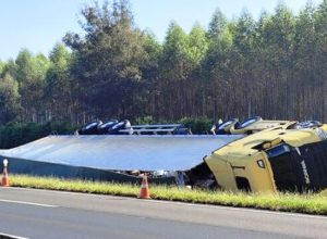 dcf5cabf-bf93-4f32-a969-ae22e0d4644c