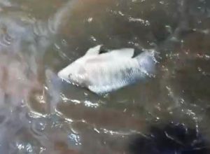 df9b9c46-ffd4-4e8c-a073-4919f71e2094