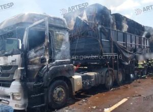 CREATOR: gd-jpeg v1.0 (using IJG JPEG v62), quality = 82