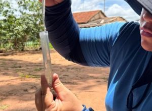 e651cc54-9c97-4def-9f33-1f7f7fdde8e3