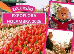 e6d3b3c8-c982-4582-89f9-120043c358cb.jpg-ca