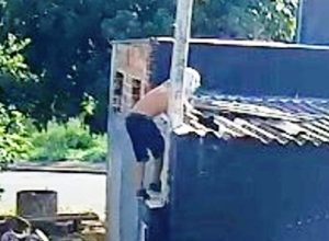 f0a54931-aa59-4c3d-81de-1b0f2bf21988