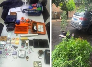 fl6ax0n1o7961.jpg-pol