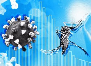 header-dengue-covid