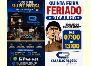 istockphoto-697576416-612x612.jpg-grande.jpg-6