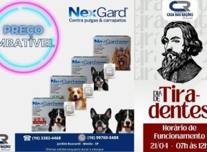 istockphoto-697576416-612x612.jpg-grande.jpg-c